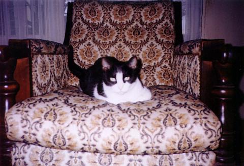 Here, the Queen in her Throne