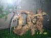 ruby 7