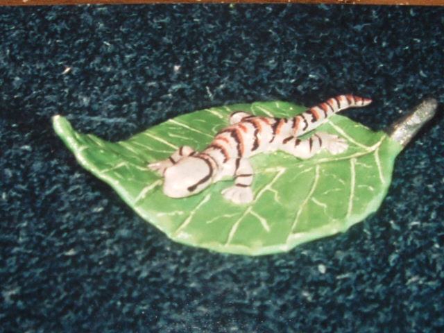 gecko