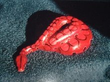 brazilian rainbow boa