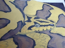 carpet python