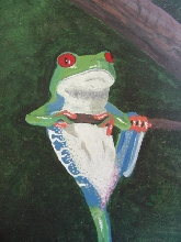 red eye tree frog