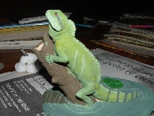 h2o dragon