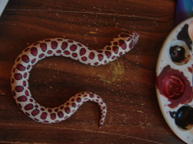 hognose