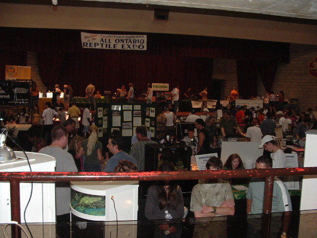 Our most recent expo!