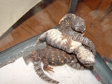 funny sleeping position!