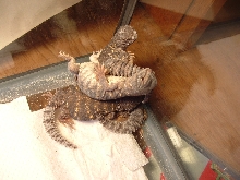 I woke him up!LOL
