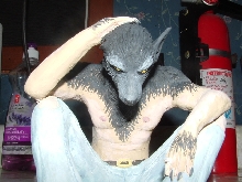 werewolf!