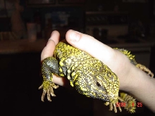 he's a big boy!!