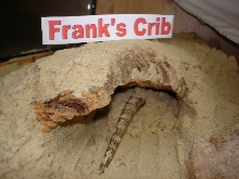 Frank's Crib