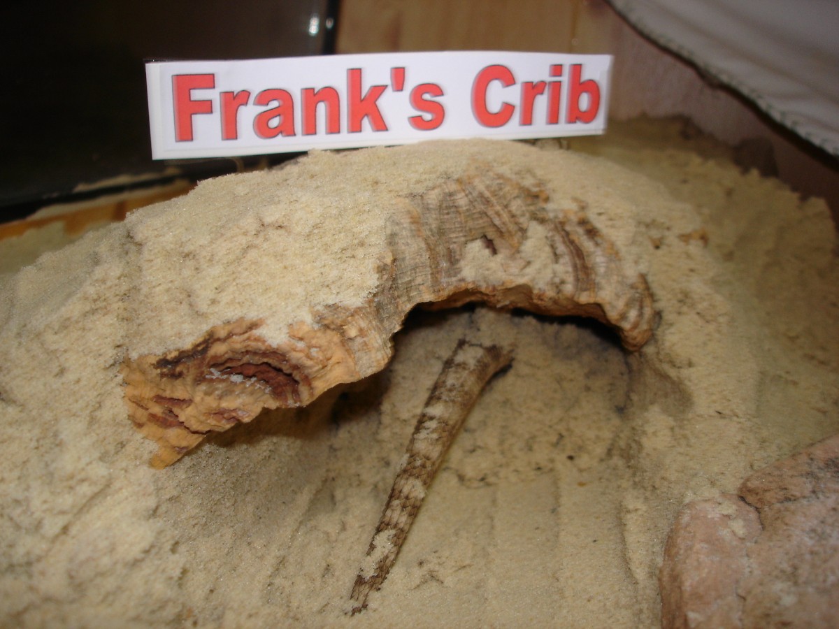 Frank's Crib