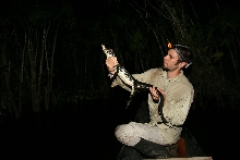 Black caiman and I