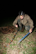 micrurus lemniscatus @ me