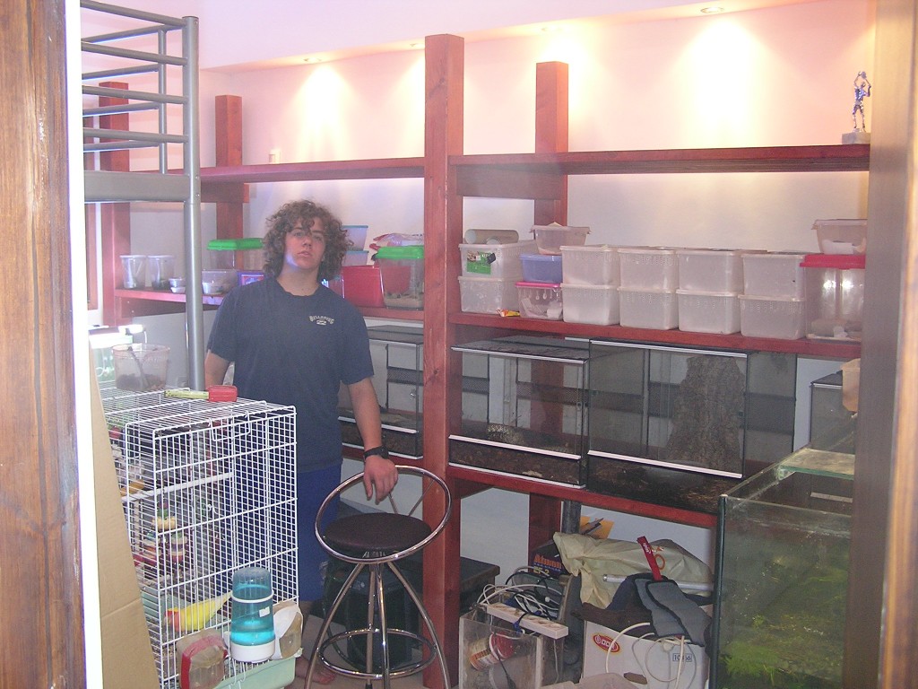 new room! new terrariums