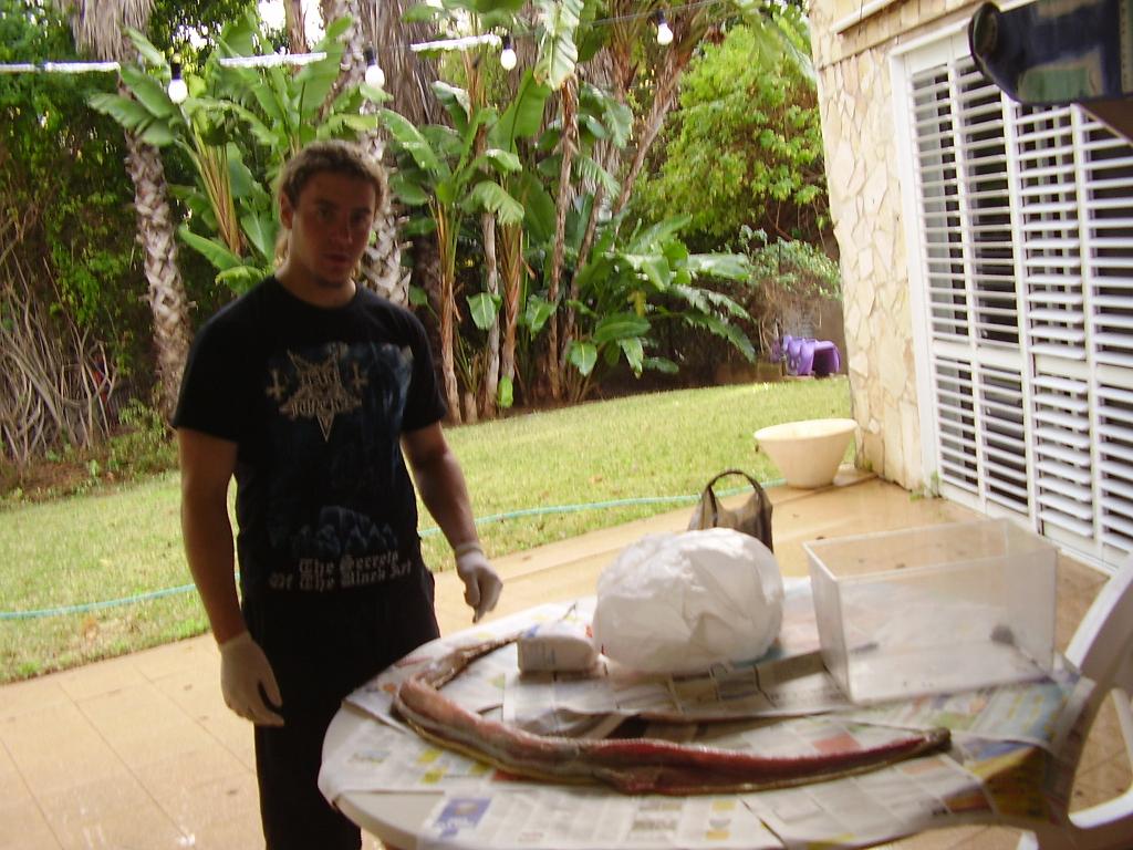 me and my not so alive boa