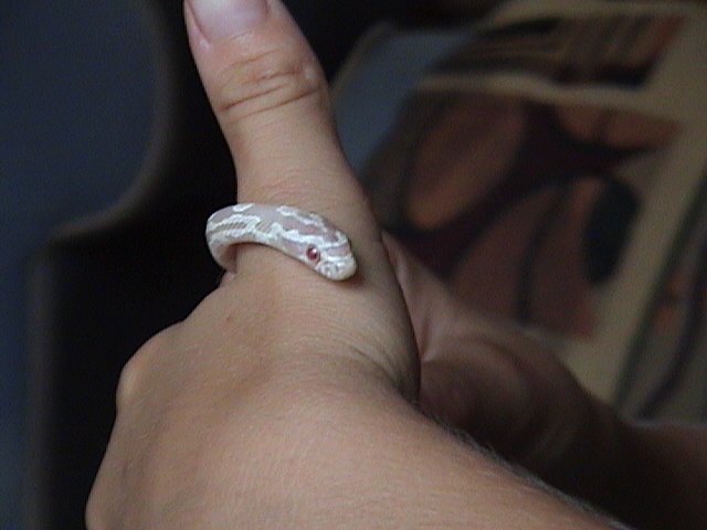 His name is Damien.