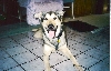 Coby