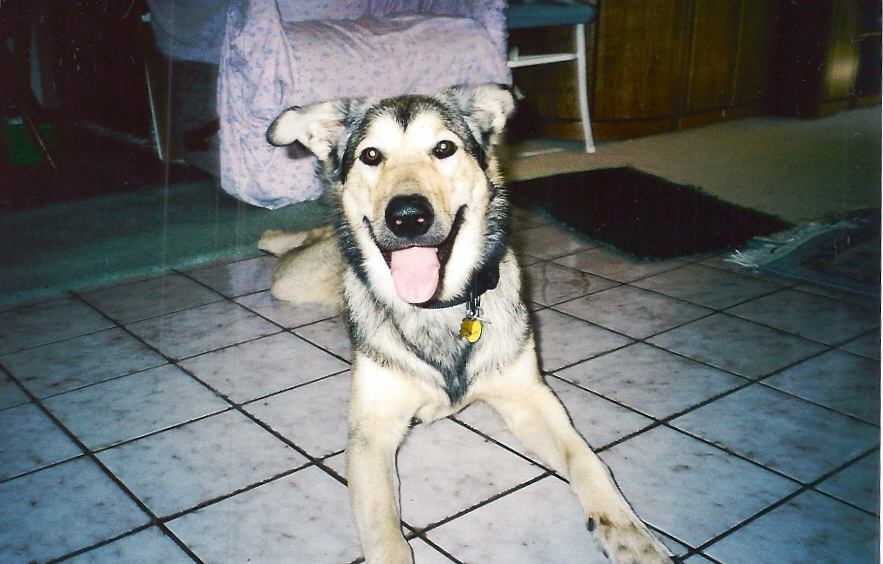 Coby