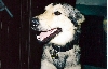 Coby