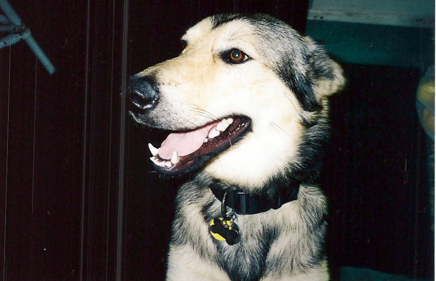 Coby
