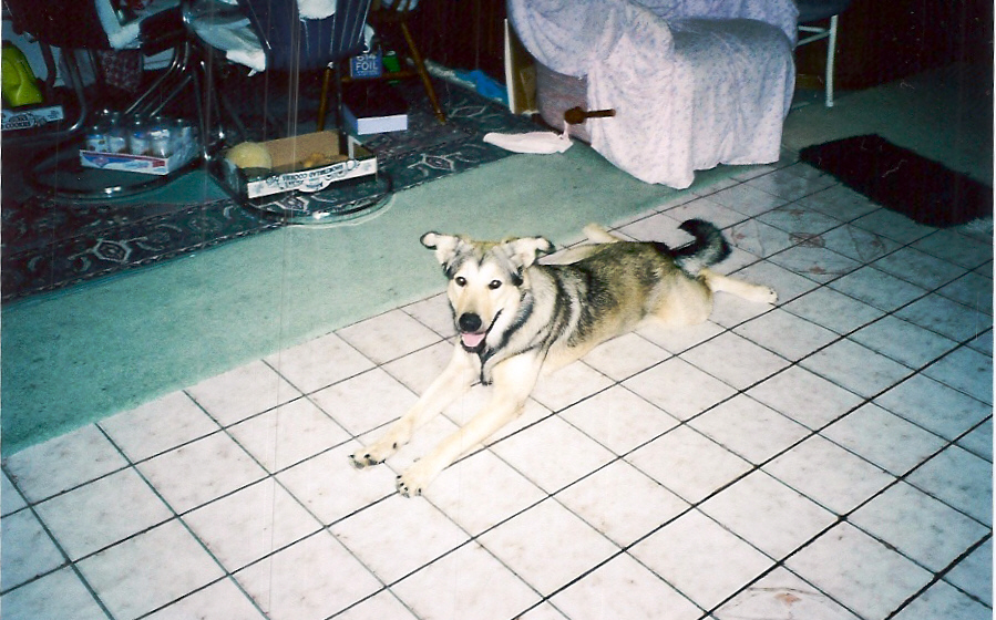 Coby