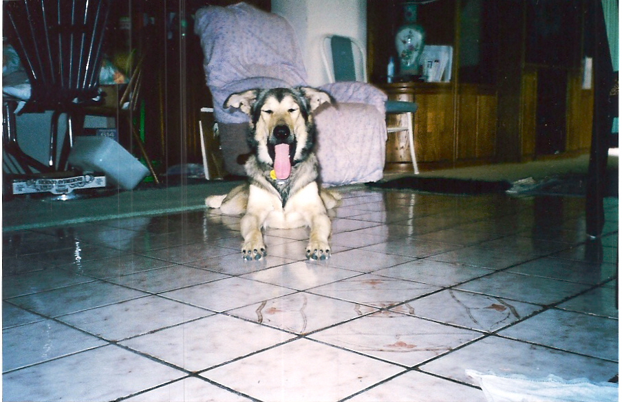 So Tired!