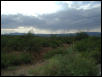 Green Valley 2