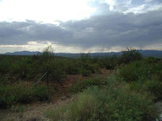 Green Valley 2