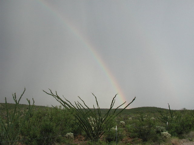 Green Valley 3