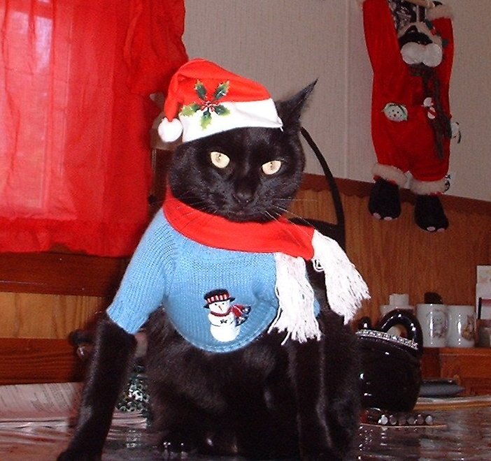 Munchie Santa