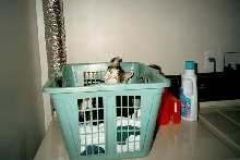 Stanlaundry