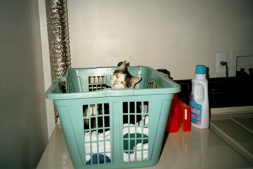 Stanlaundry