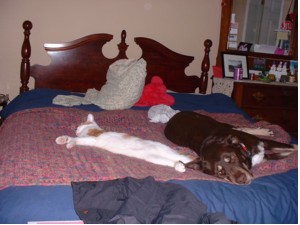naptime