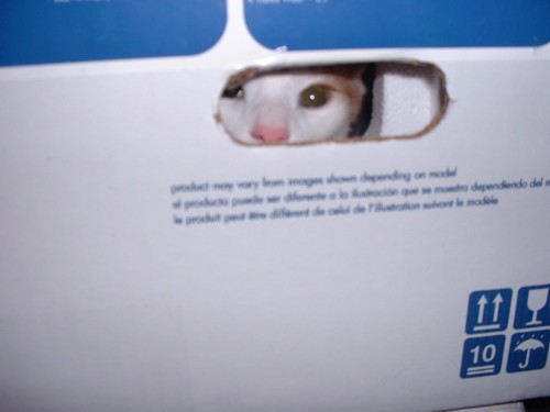 Tucker in box