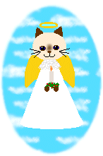 Kitty Angel