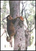 Caption2