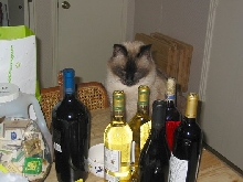 Party On!