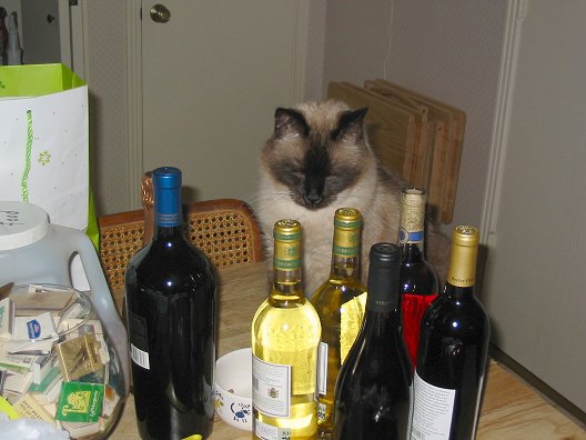 Party On!