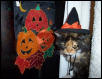 witchycat