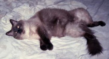 I'm too sexy for my body!!!