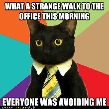 Friday the 13th Cat
