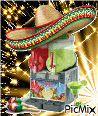 Nino's Margarita Machine
