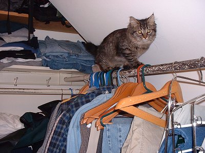 Moxiecloset