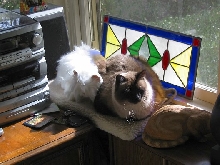 Just Sleeping