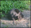 Spook Asleep
