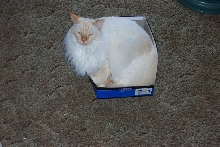 Tight fit!