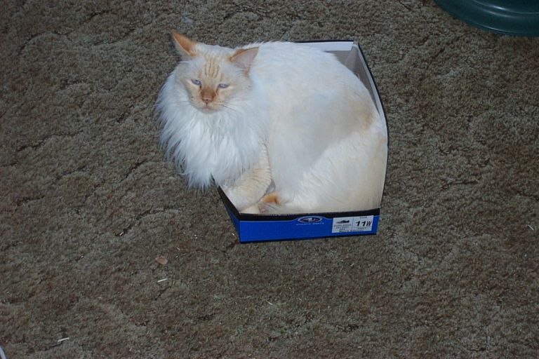 Tight fit!