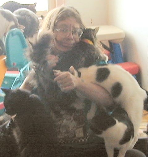 me as cat-tree with the FeLVs....