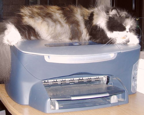 CaliOnPrinter