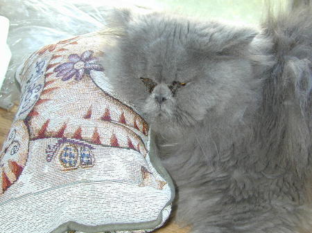 GypsyAtRest